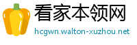 看家本领网